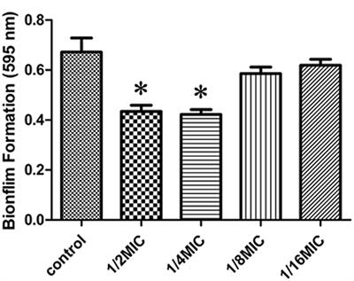 Rutin Inhibits Streptococcus suis Biofilm Formation by Affecting CPS Biosynthesis